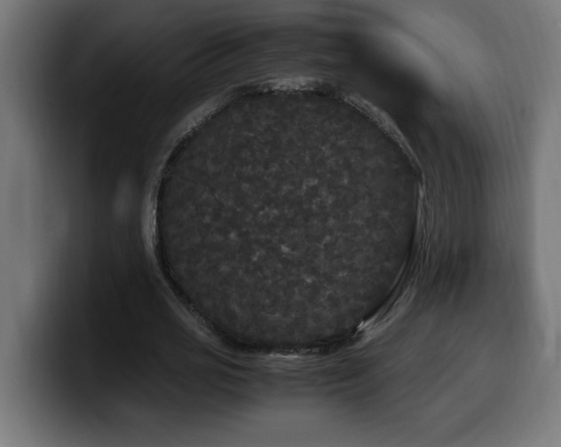 X0000100490725200806131249