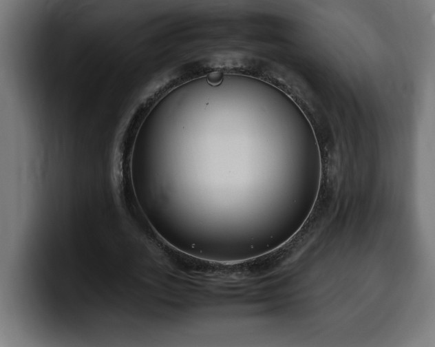 X0000100490727200806131249
