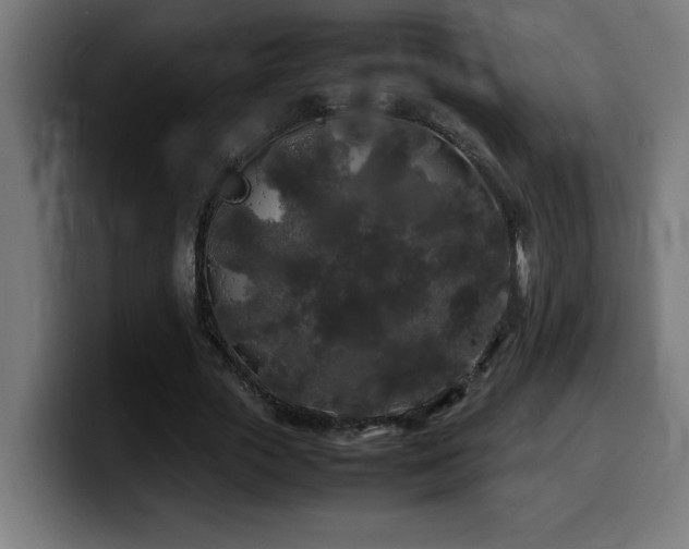 X0000100490729200806131249