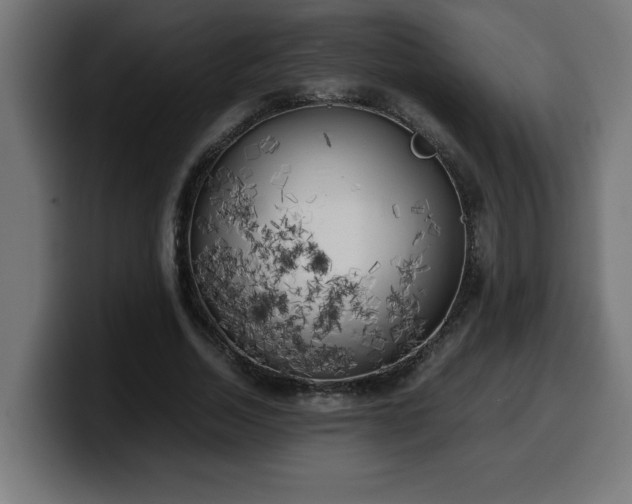 X0000100490730200806131249