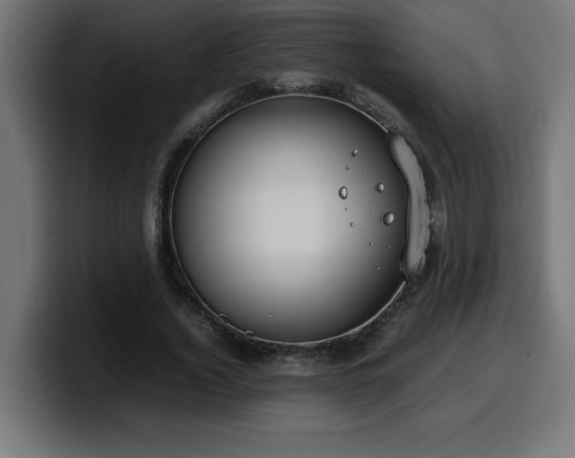 X0000100490732200806131249