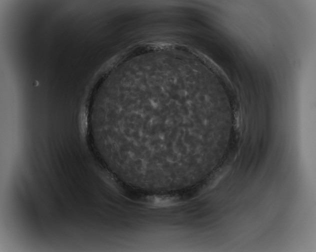 X0000100490733200806131249