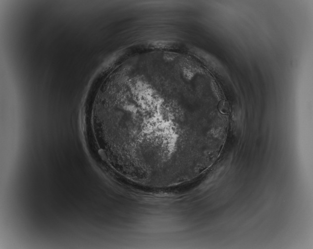 X0000100490734200806131249