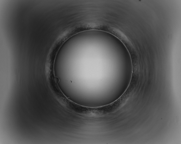 X0000100490736200806131249