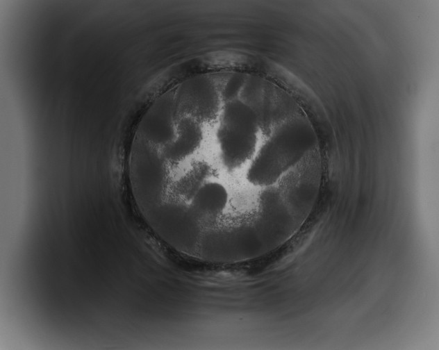 X0000100490737200806131249