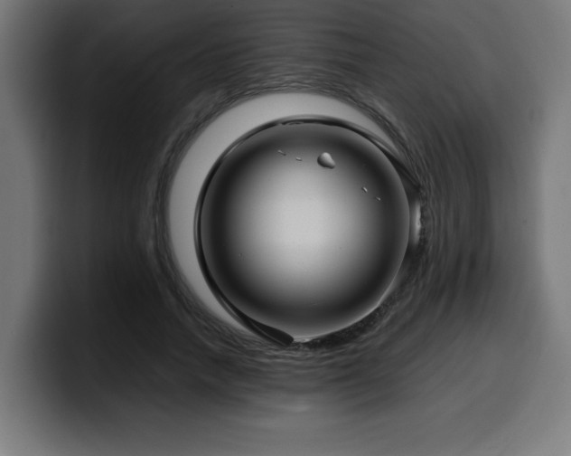 X0000100490738200806131249