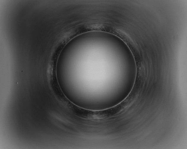 X0000100490739200806131249
