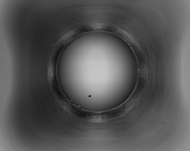 X0000100490740200806131249
