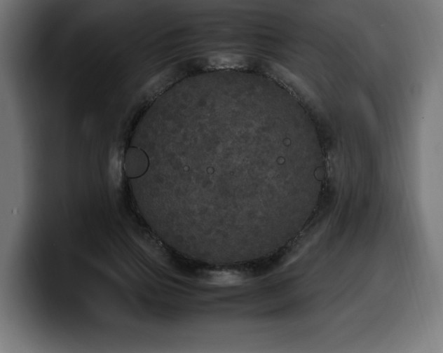 X0000100490741200806131249