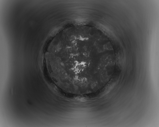 X0000100490742200806131249