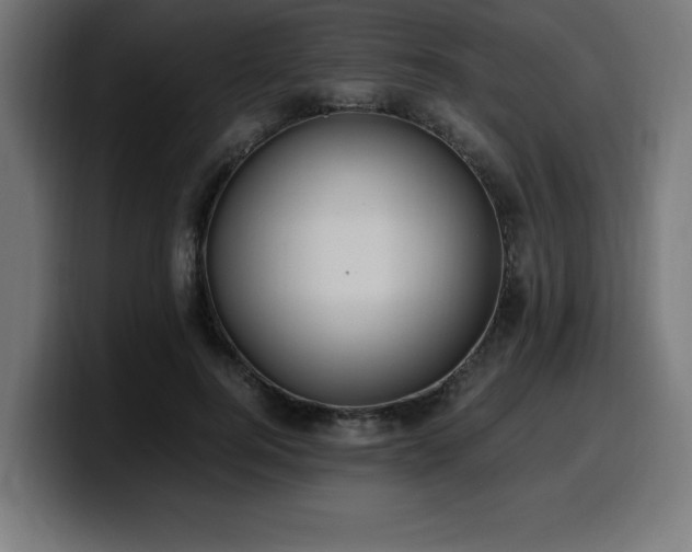 X0000100490744200806131249