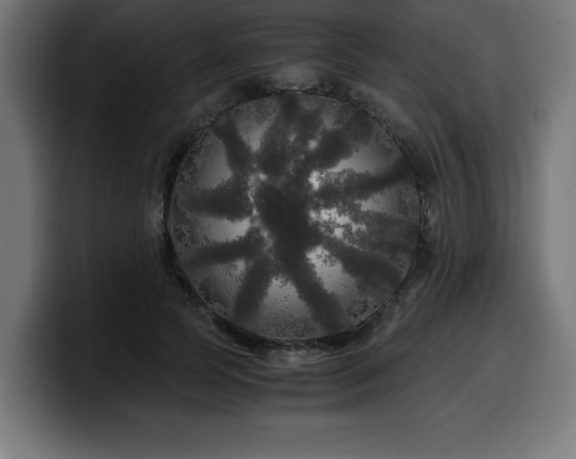 X0000100490745200806131249