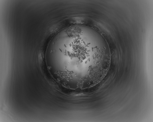 X0000100490747200806131249