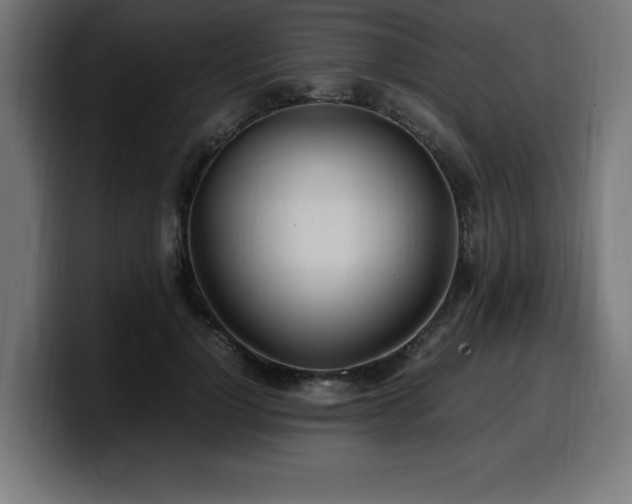 X0000100490748200806131249