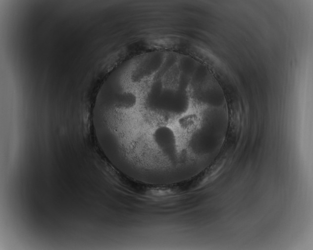 X0000100490749200806131250