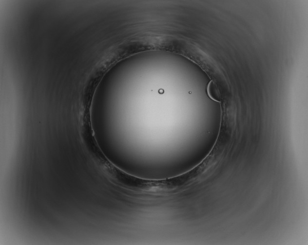 X0000100490750200806131250