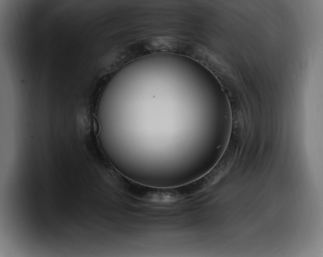 X0000100490751200806131250