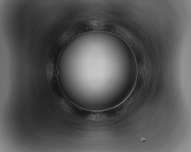 X0000100490752200806131250