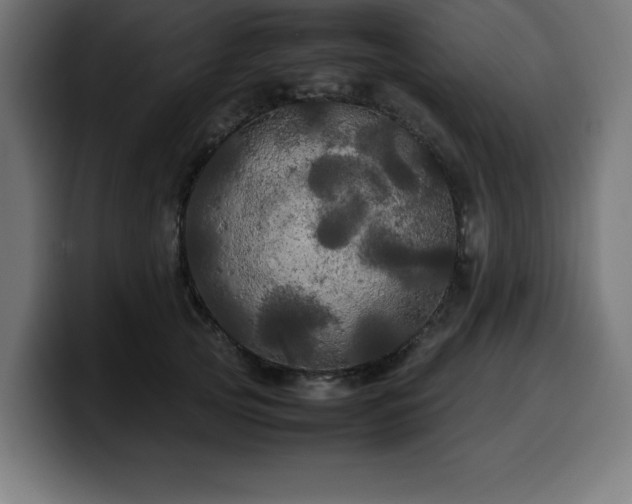 X0000100490753200806131250