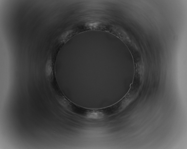 X0000100490754200806131250