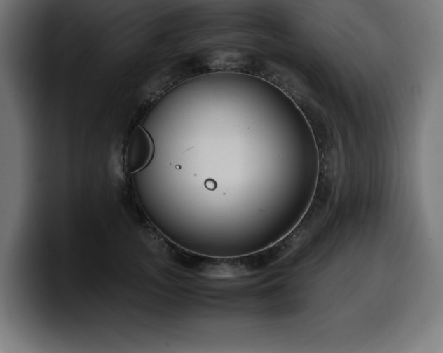 X0000100490755200806131250