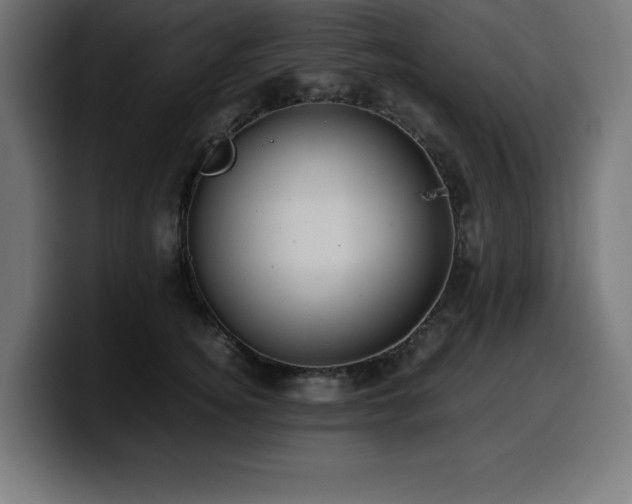 X0000100490756200806131250