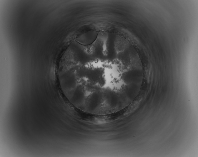 X0000100490757200806131250