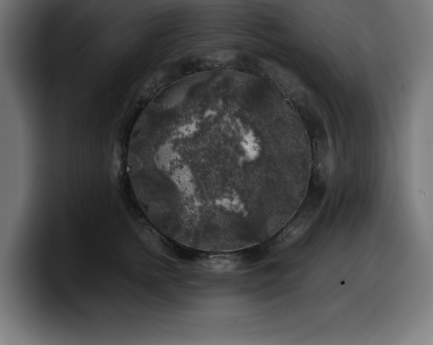 X0000100490758200806131250
