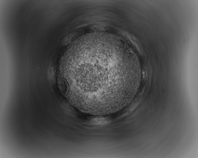 X0000100490759200806131250