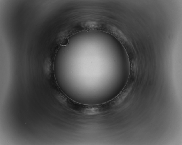 X0000100490760200806131250