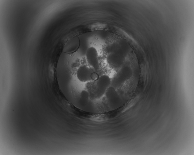X0000100490761200806131250