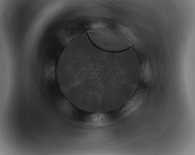 X0000100490762200806131250