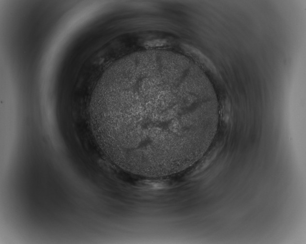 X0000100490763200806131250