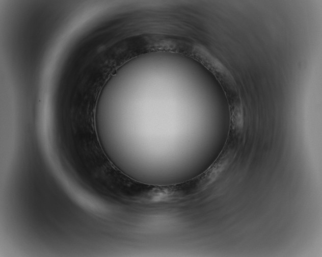 X0000100490764200806131250