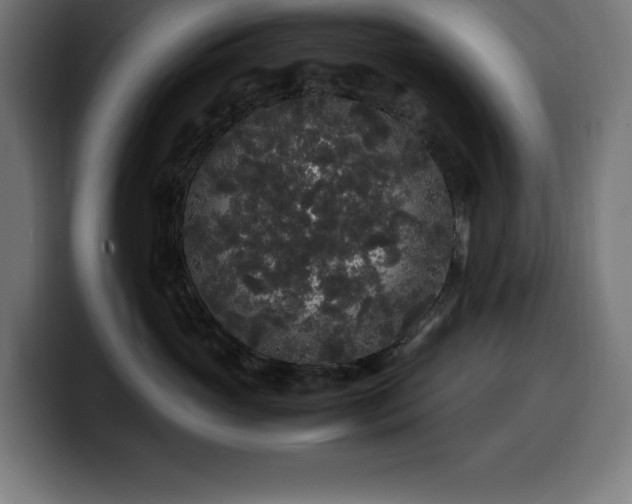 X0000100490765200806131250