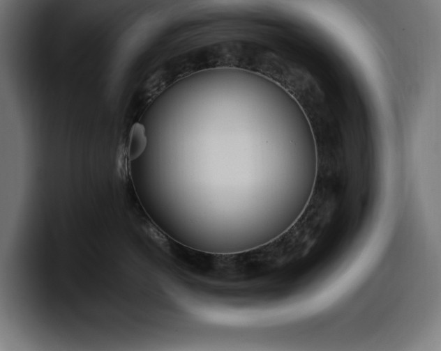X0000100490766200806131250