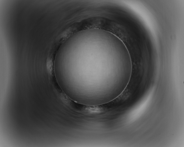X0000100490767200806131250