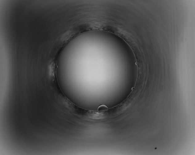 X0000100490768200806131250