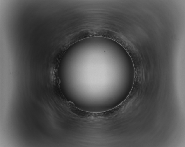 X0000100490770200806131249