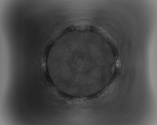 X0000100490771200806131249