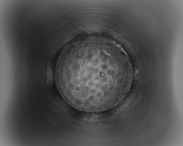 X0000100490772200806131249