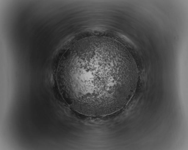 X0000100490774200806131249