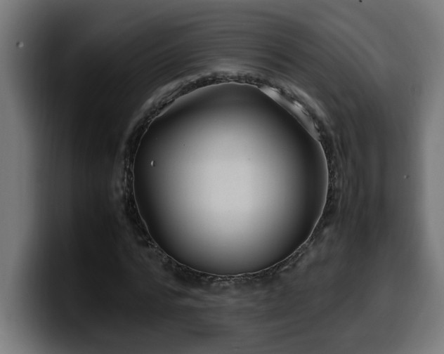 X0000100490776200806131249