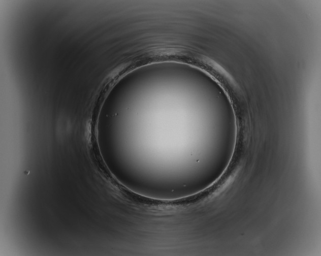 X0000100490777200806131249