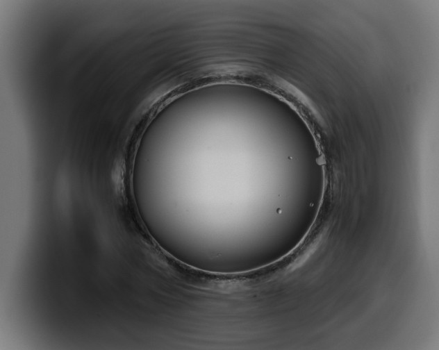 X0000100490778200806131249