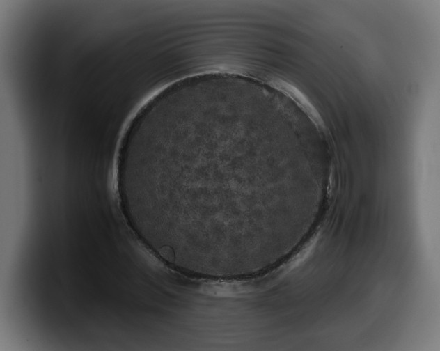 X0000100490780200806131249