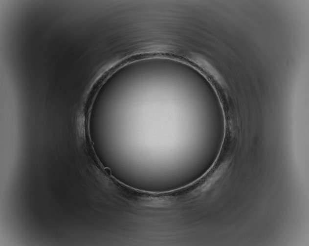 X0000100490781200806131249