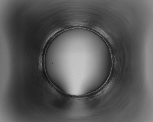 X0000100490782200806131249