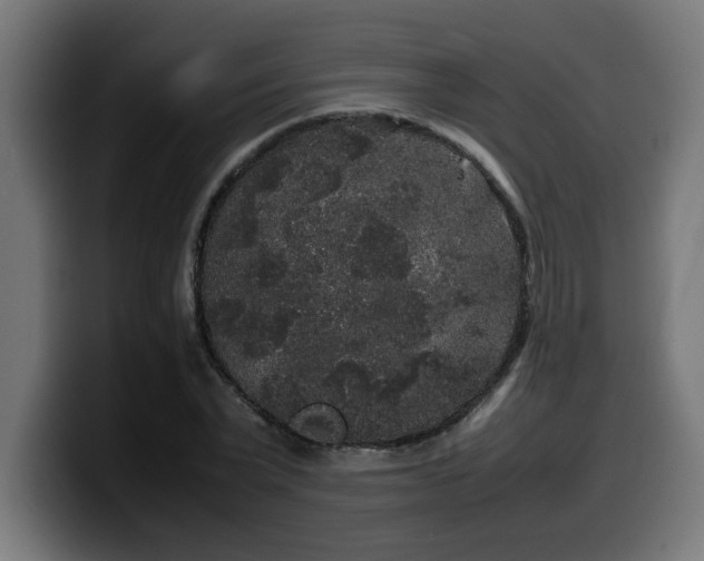 X0000100490783200806131249
