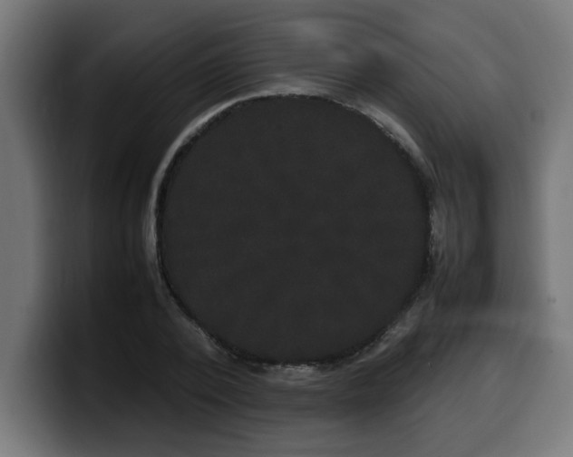 X0000100490784200806131249
